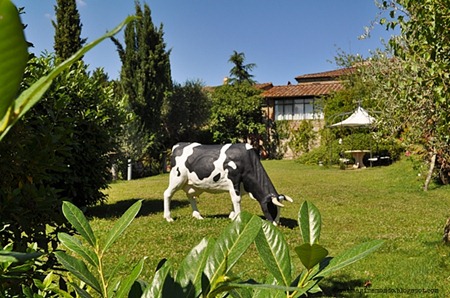 borgo casa al ventoDSC_0154