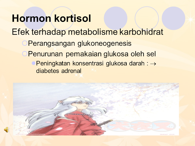 Hormon kortisol