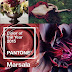 Pantone's 2015 Color of the Year~ Marsala