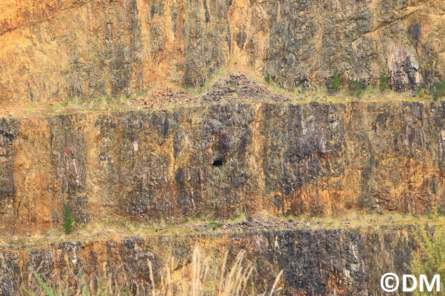 Photo d'un ancien trou  d'accès à la mine de Martha Waihi Coromandel Nouvelle-Zélande