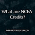 What are NCEA Credits?