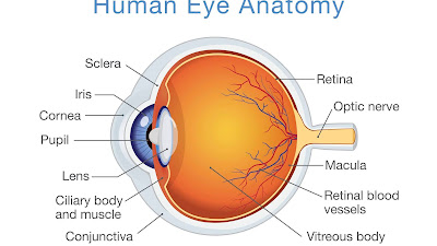 Simple eye diagrams | Easy eye diagram | Labeled eye diagram