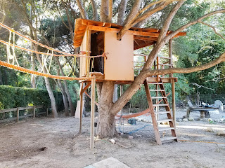 Roofed treehouse with ladder and rope bridge