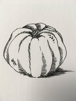 A black pen drawing of a knobbly round pumpkin.