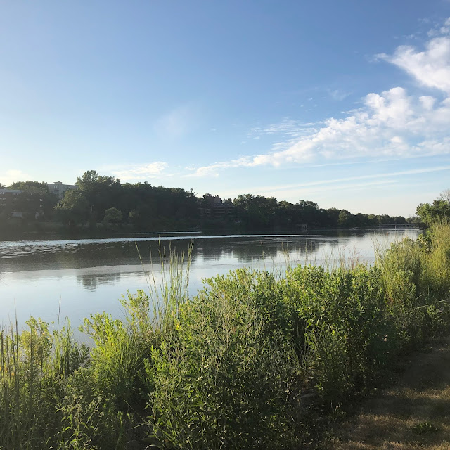 Meandering along the Fox River at RiverEdge Park.