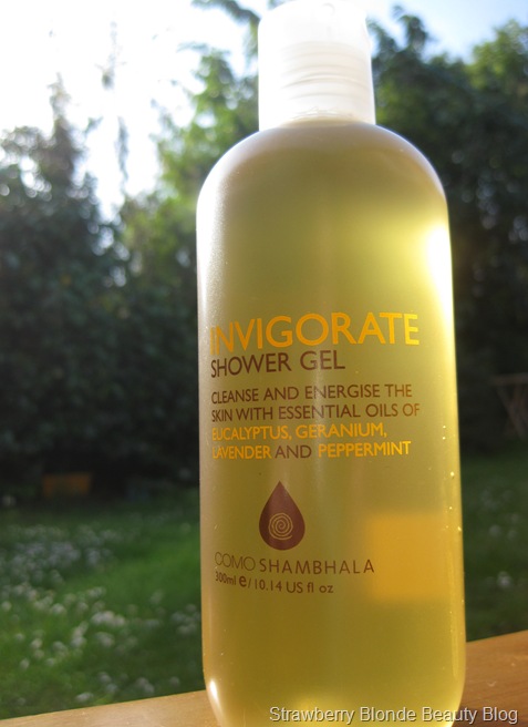 Invigorate Shower Gel