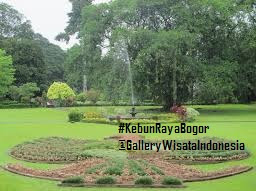 Area Taman Kebun Raya Bogor | Kebun Raya Bogor