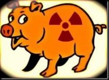 nuclear-pig-220x161