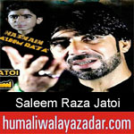 https://humaliwalaazadar.blogspot.com/2019/09/saleem-raza-jatoi-nohay-2020.html