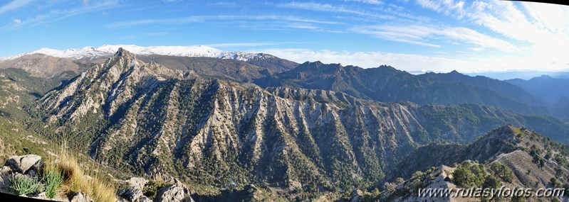 Trevenque - Cerro del Cocón - Cerro Gordo - Pico de la Carne