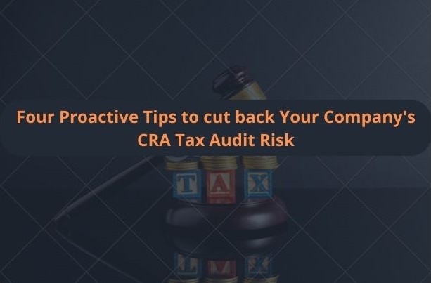 Four Proactive Tips to cut back Your Company's CRA Tax Audit Risk