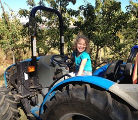 2012-10-06 Apple-picking 021