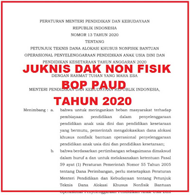 PETUNJUK TEKNIS (JUKNIS) DAK NON FISIK BOP PAUD TAHUN ANGGARAN 2020