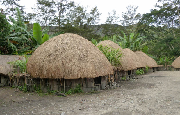 Rumah Adat Papua Rumah Honai Gambar dan Penjelasannya 