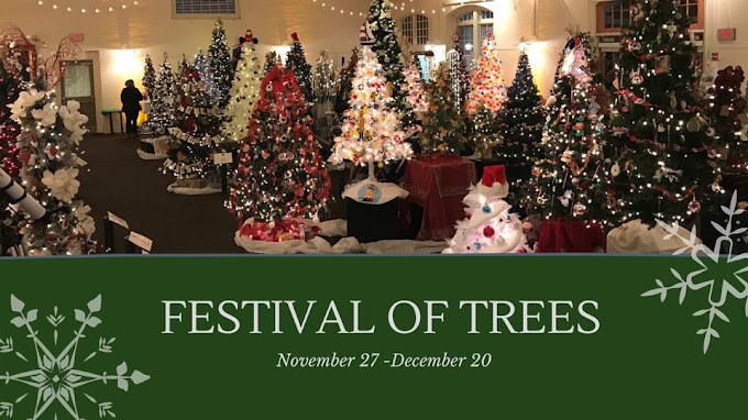 Annual Festival of Trees