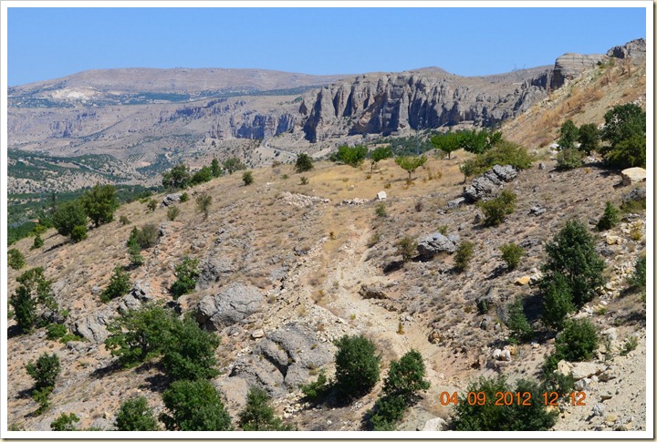 DSC_0614 DSC_0614