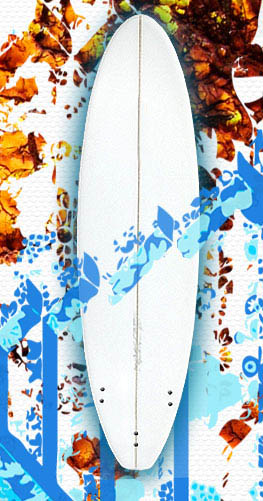 fun surfboard