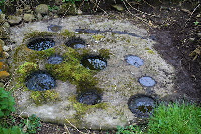 The Nine Hole Bullaun Stone, Offaly