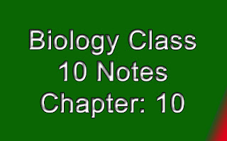 Biology Class 10 Notes Chapter 10