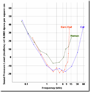 articles-Owl Physiology-Hearing-3