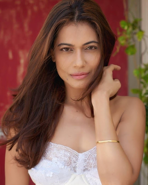 Payal Rohatgi mesmerizes in her latest hot photoshoot stills.