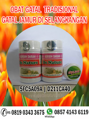 OBAT TRADISIONAL GATAL JAMUR DI SELANGKANGAN