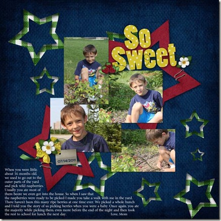 Mitchell_2011-07-14_WildRaspberries web