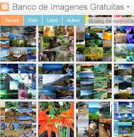 ></a><div>Todo sobre las nuevas <b>vistas dinámicas para lectores de feeds</b>. Blogger ofrece actualmente <b>5 vistas dinámicas para blogs públicos</b>. Estas vistas están accesibles sólo si el autor del blog lo permite. <b>Personalmente, me ha parecido una excelente puesta en escena de estas vistas dinámicas por parte de Blogger que pretenden ofrecernos contenidos más ricos en interfaces visuales...</b></div> [<a href=