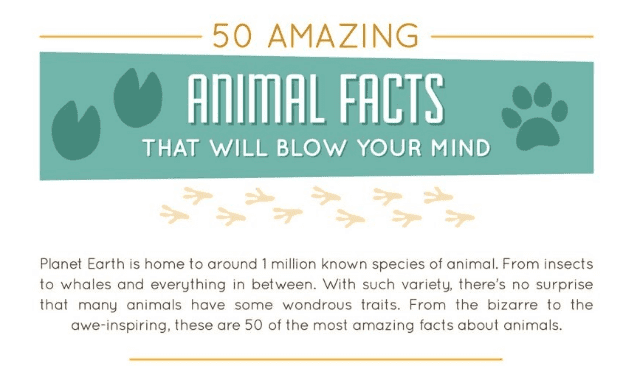 50 Amazing Animal Facts That Will Blow Your Mind