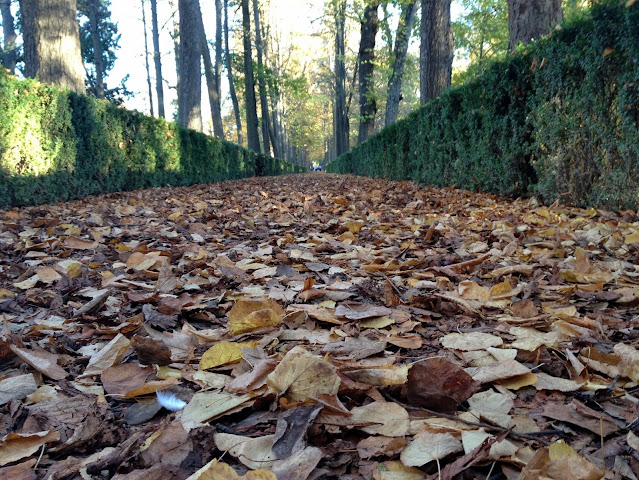 El otoño en los jardines del Palacio de Aranjuez