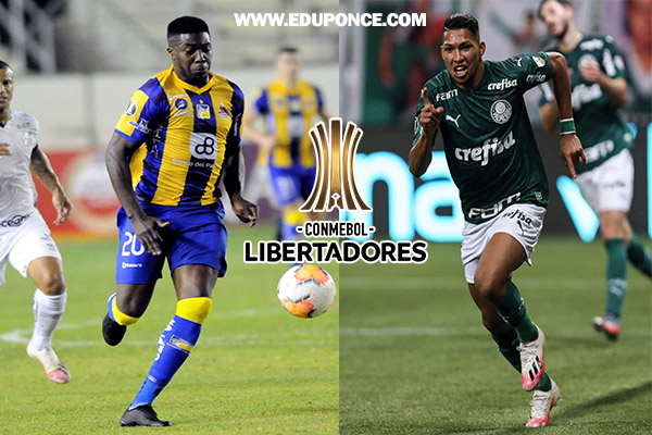 Palmeiras, el mejor de la Fase de Grupos de la Libertadores 2020, frente a un Delfín soñador