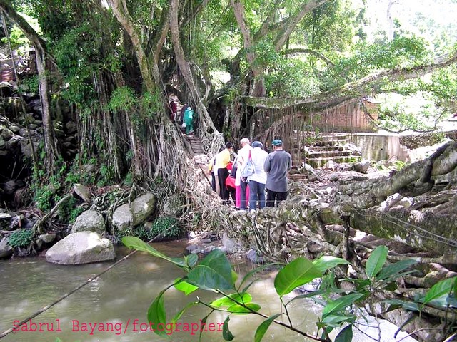 Jembatan Akar Terunik Di Dunia [ www.BlogApaAja.com ]