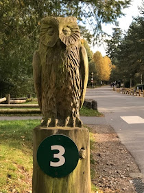 Owl statue at Center Parcs Whinfell Forest