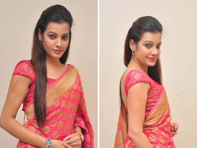 Actress Diksha Panth lovely pics in saree