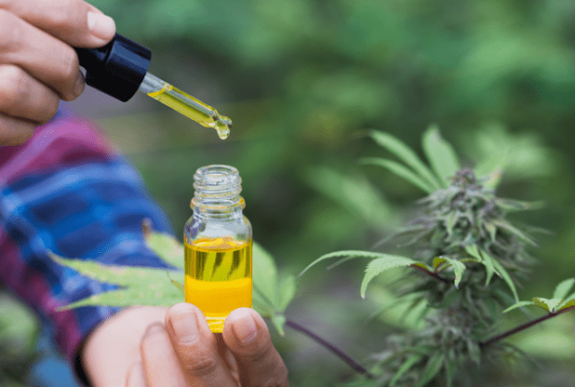 cbd oil australia