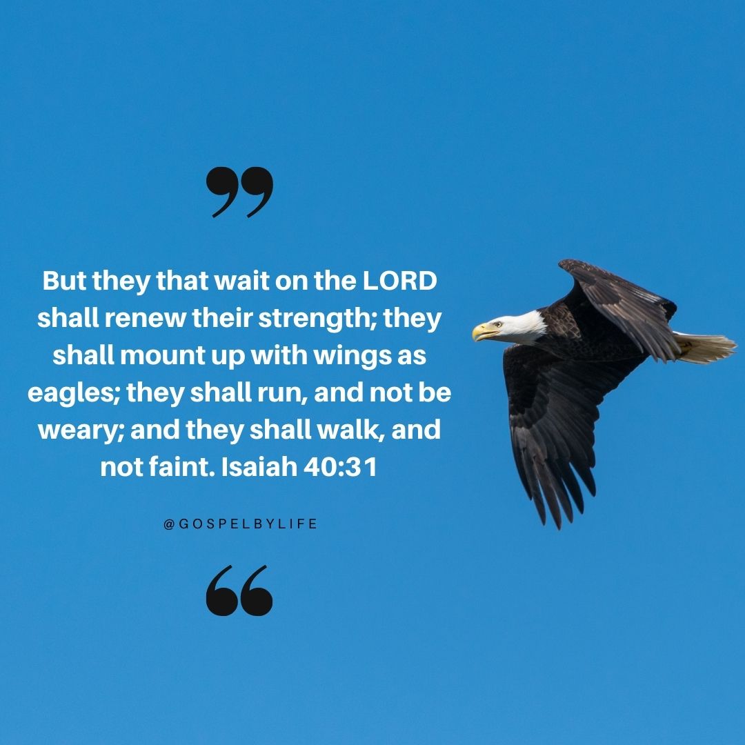 Biblical Image But those who wait on the Lord