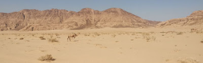 Desierto Blanco de Wadi Rum.