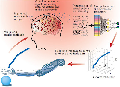 Brain Computer interfacing process