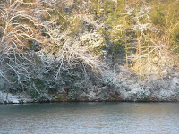 池の周りの樹木が雪化粧