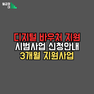 디지털바우처