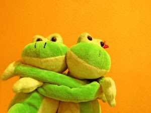 Funny Cute Little Frogs