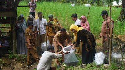 Dukung Kemajuan SD IT Nurul Qur'an, Pemkab Pasbar Serahkan 5000 Bibit Ikan Nila