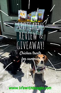 Spot Farms dog treats review and giveaway. Try the chicken!