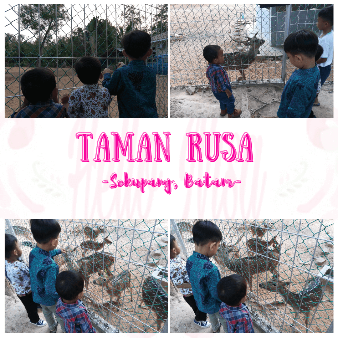 Taman Rusa Sekupang BP Batam