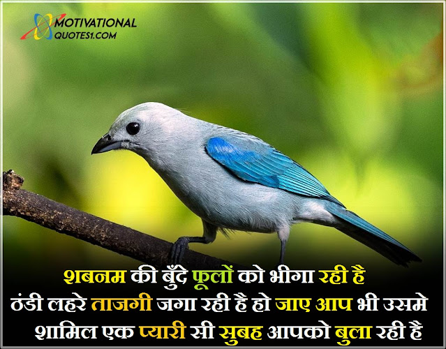 Good Morning Message in Hindi || Good Morning