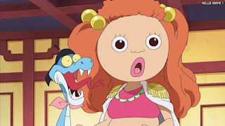 ワンピースアニメ 女ヶ島編 411話 九蛇海賊団 ブルーファン アマゾン・リリー | ONE PIECE Episode 411