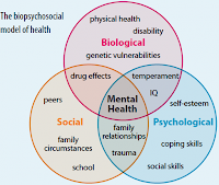 Biopsychosocial model of diagnosis生理、心理及社交看診模式