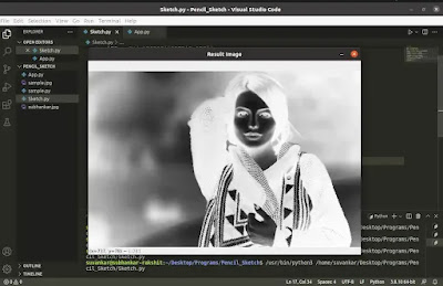An inverted gray image using cv2 bitwise not function