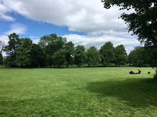 A grassy field with trees lining it.