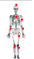 https://www.cerebriti.com/juegos-de-ciencias/huesos-del-cuerpo-humano#.Wh88ADRrzIU